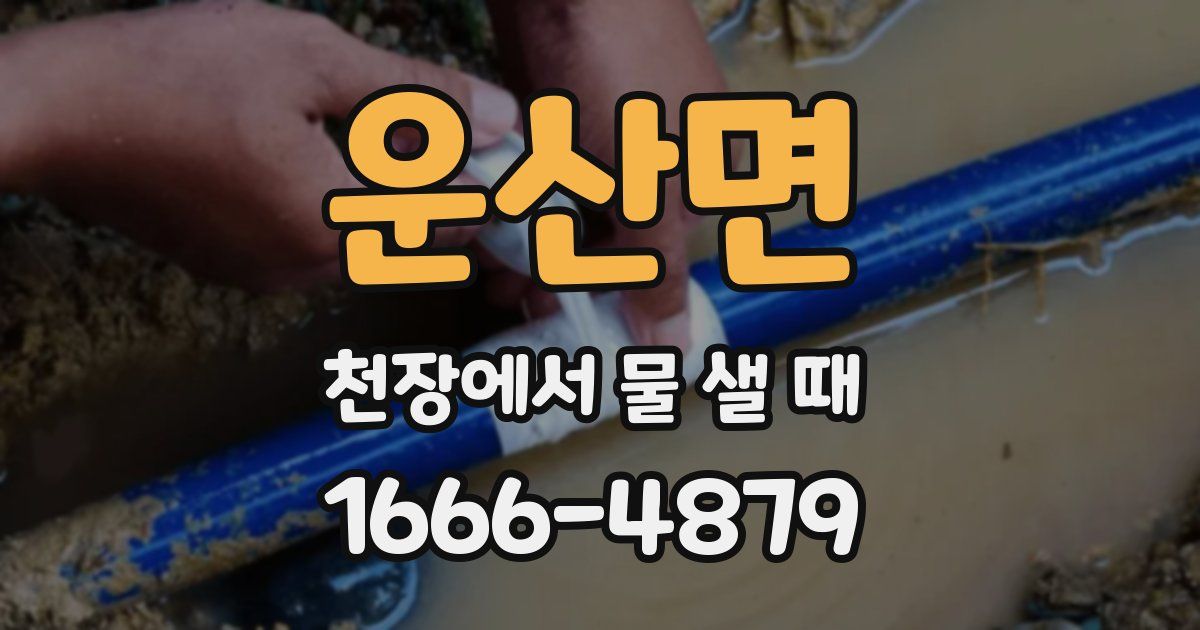 운산면 천장에서 물 샐 때