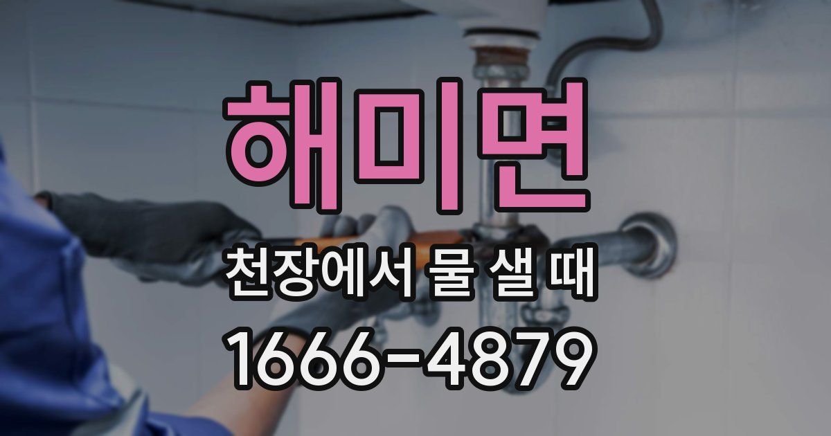 해미면 천장에서 물 샐 때