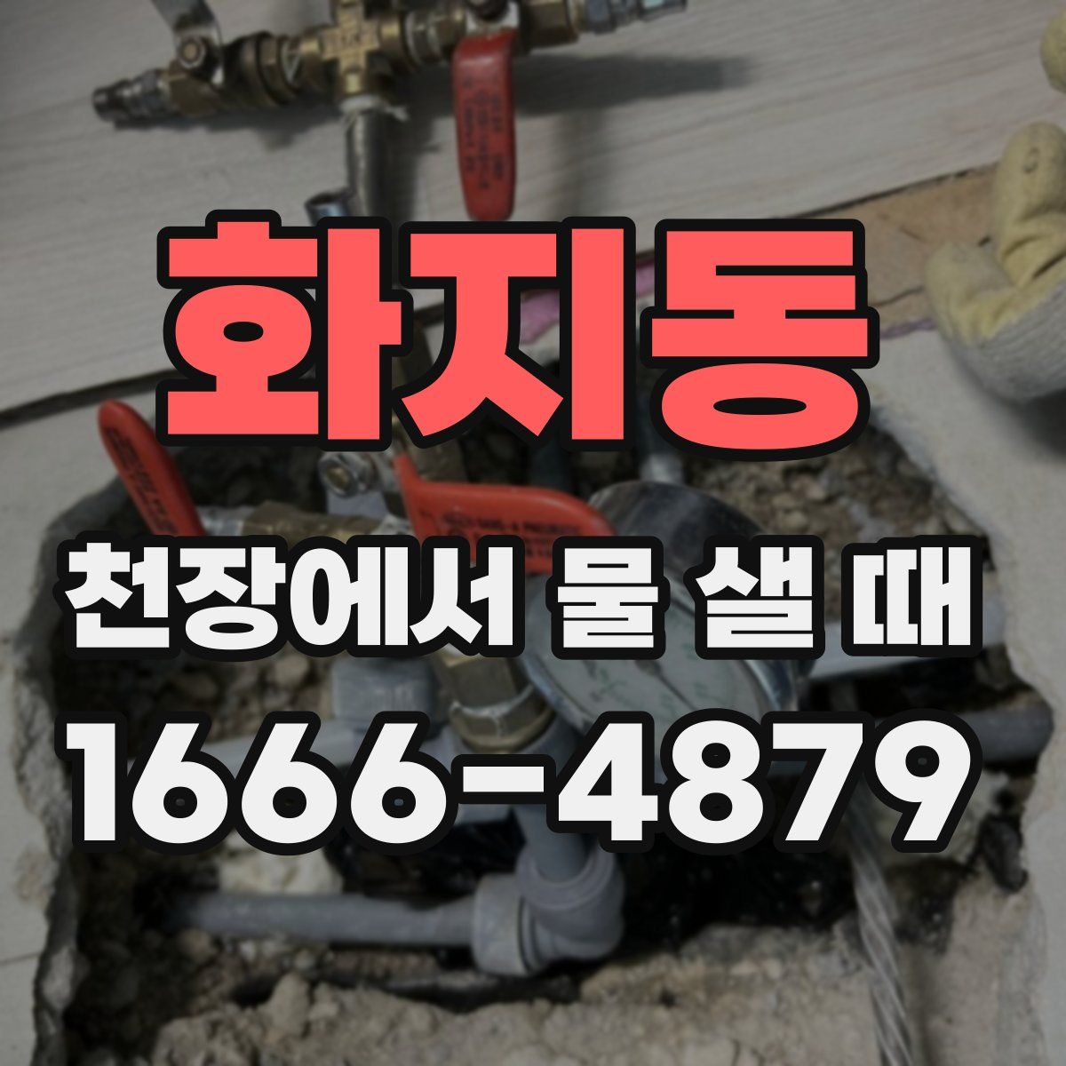 화지동 천장에서 물 샐 때