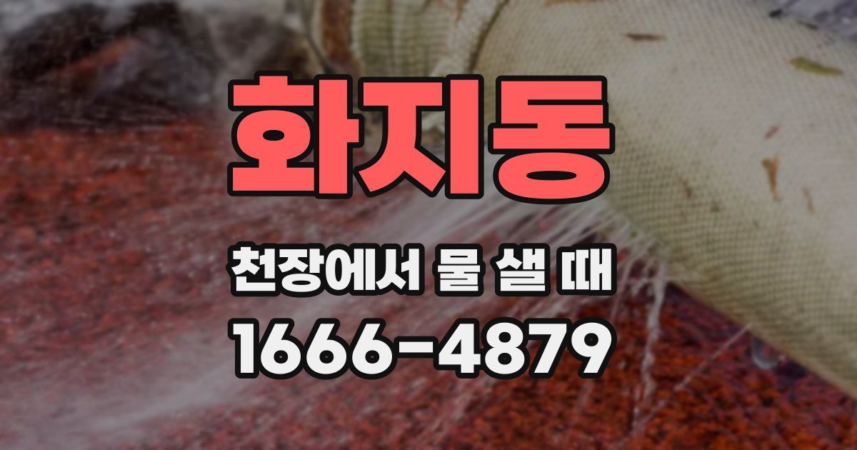 화지동 천장에서 물 샐 때