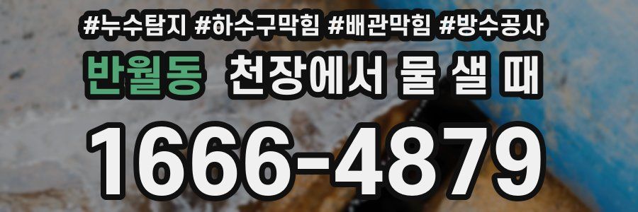 반월동 천장에서 물 샐 때