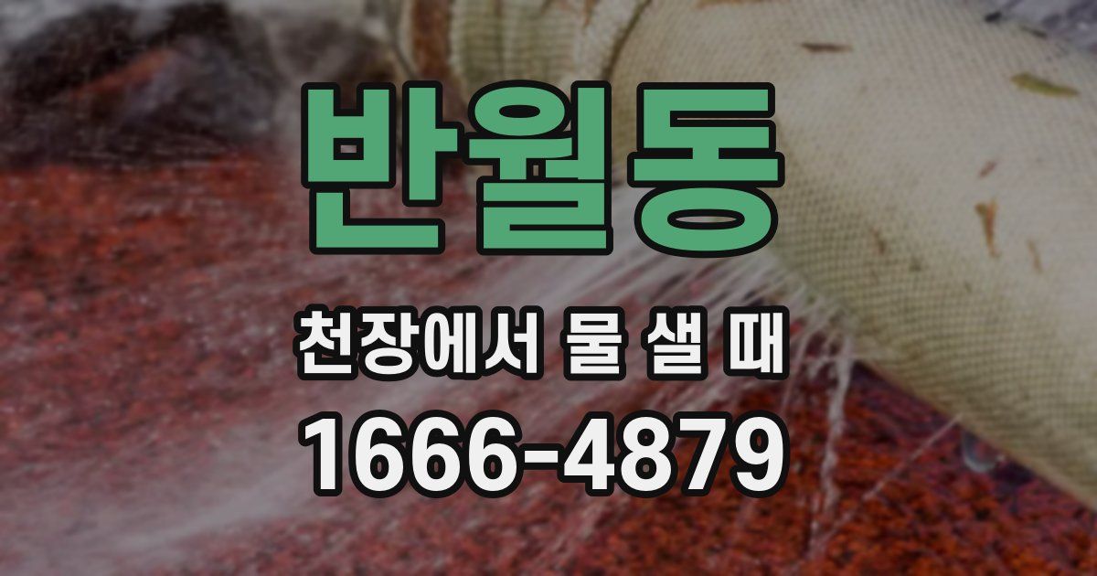 반월동 천장에서 물 샐 때