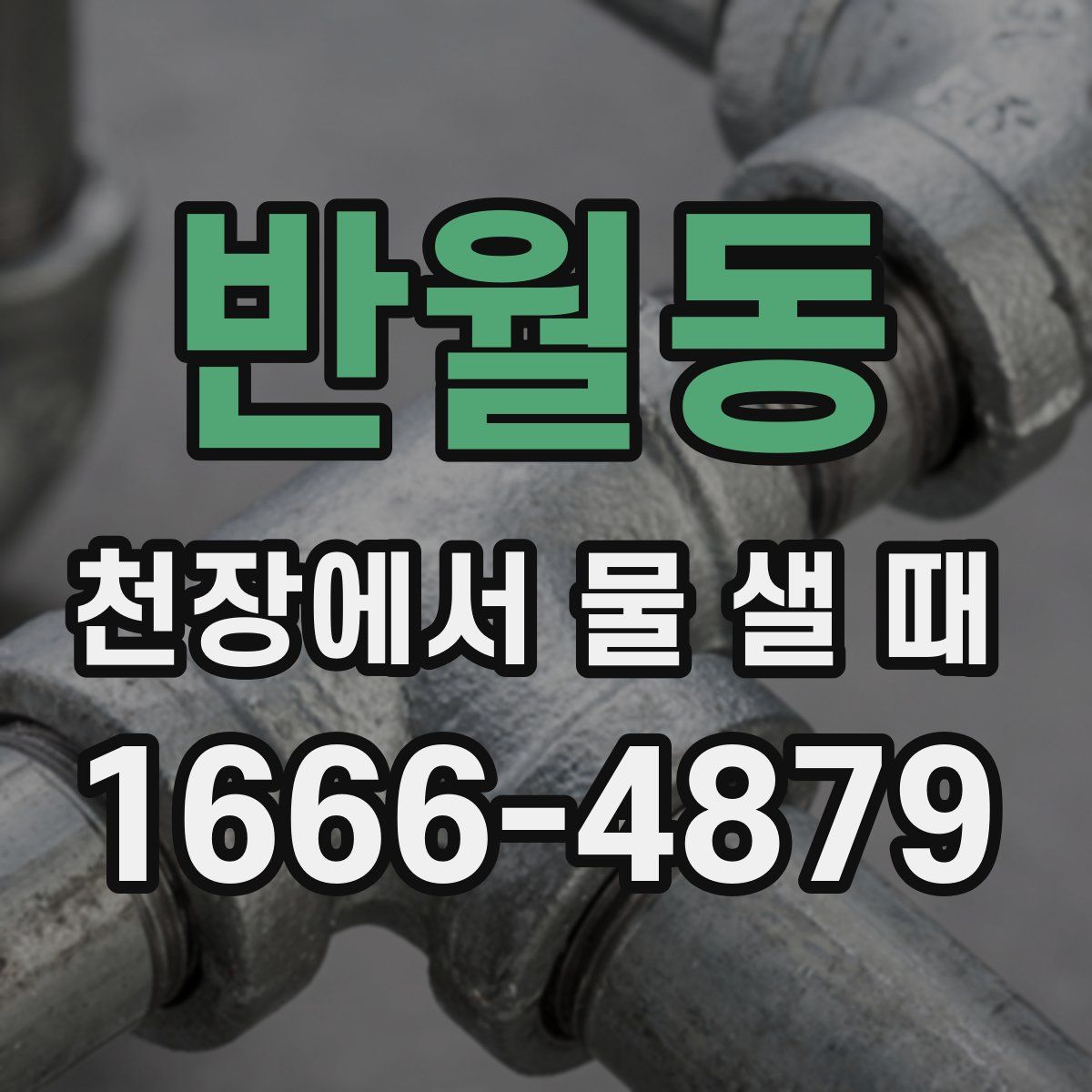 반월동 천장에서 물 샐 때