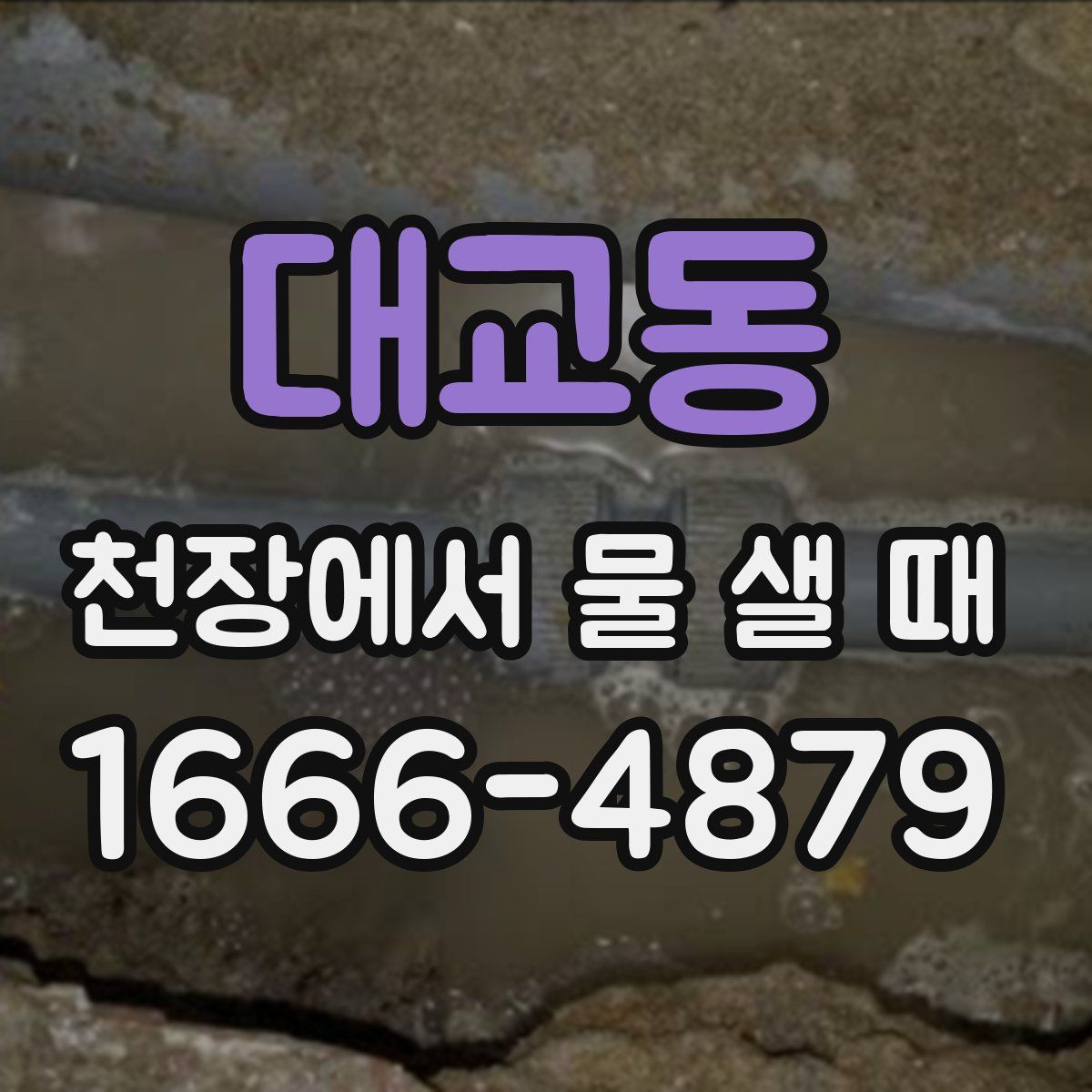 대교동 천장에서 물 샐 때