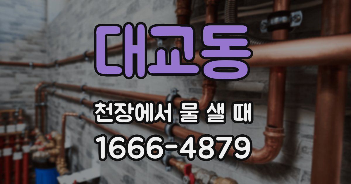대교동 천장에서 물 샐 때