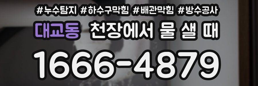 대교동 천장에서 물 샐 때