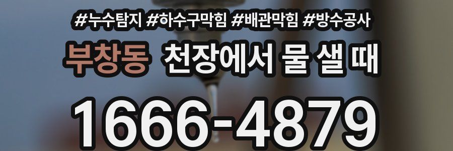 부창동 천장에서 물 샐 때