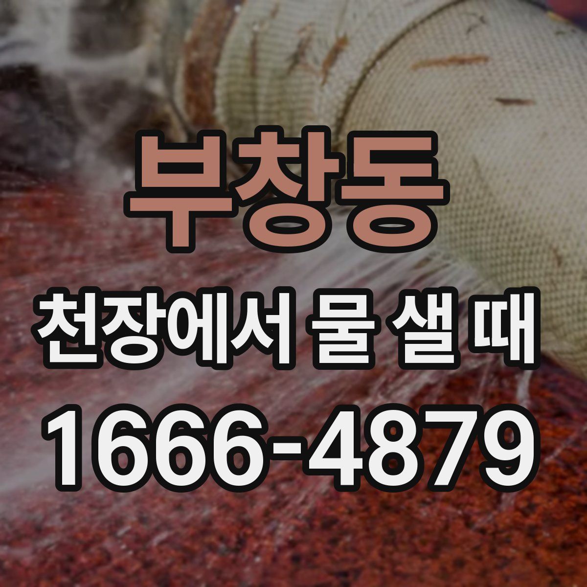 부창동 천장에서 물 샐 때