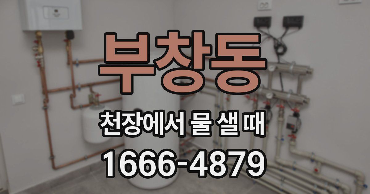 부창동 천장에서 물 샐 때