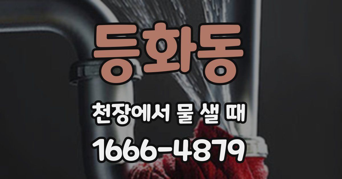 등화동 천장에서 물 샐 때