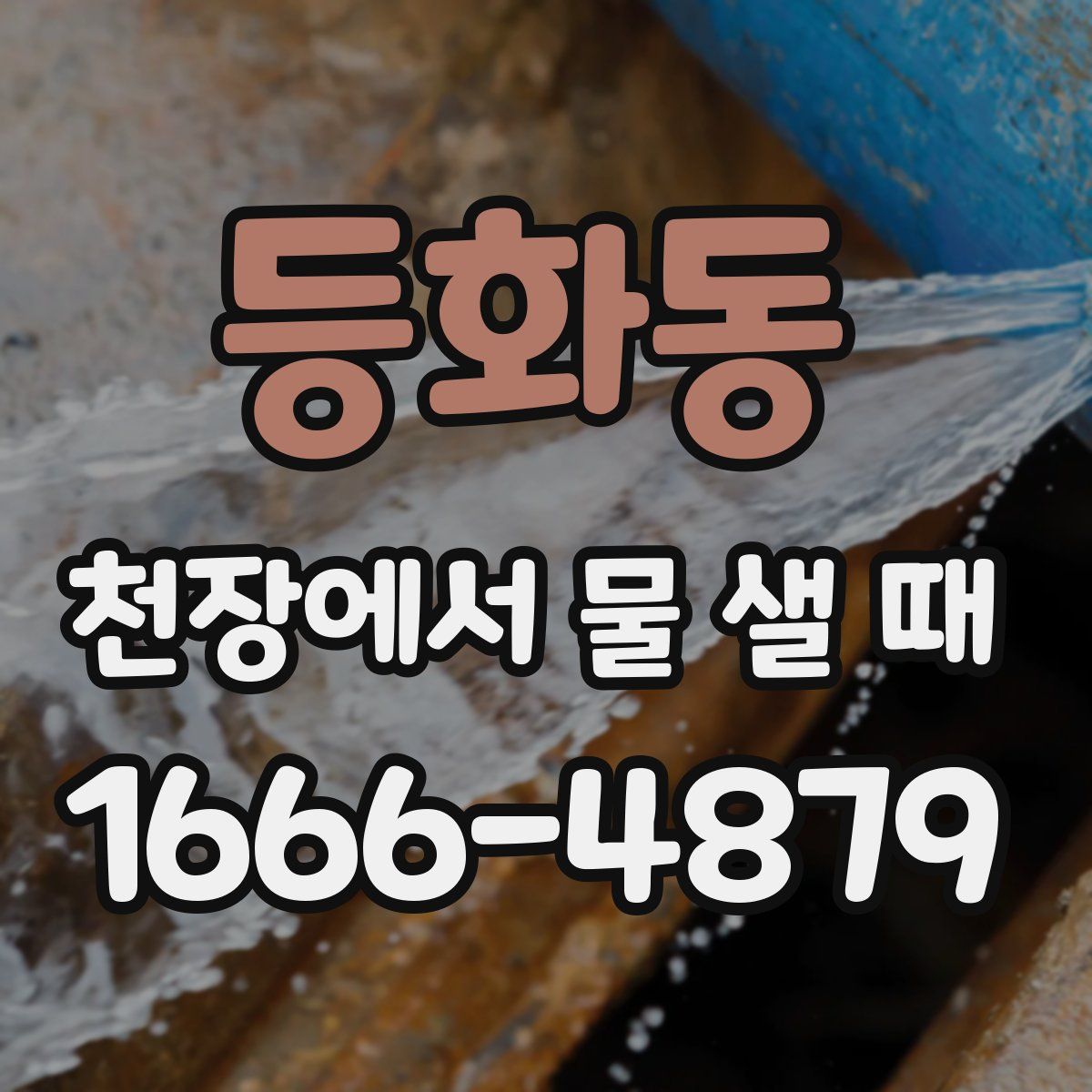 등화동 천장에서 물 샐 때