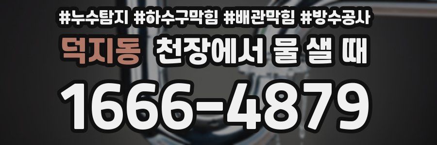 덕지동 천장에서 물 샐 때