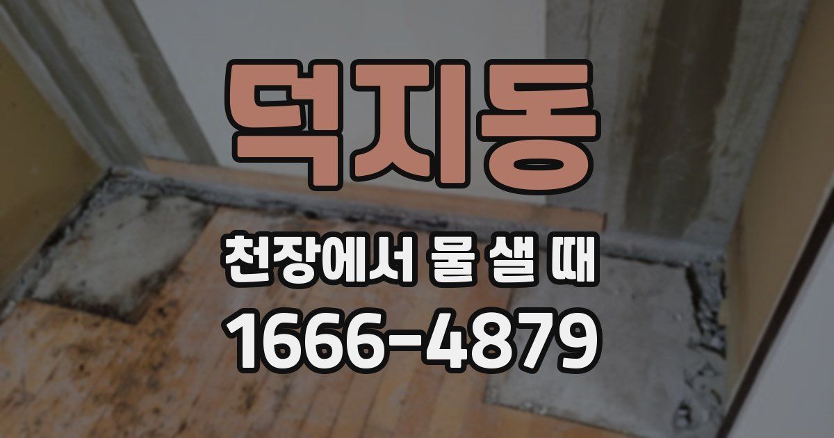 덕지동 천장에서 물 샐 때
