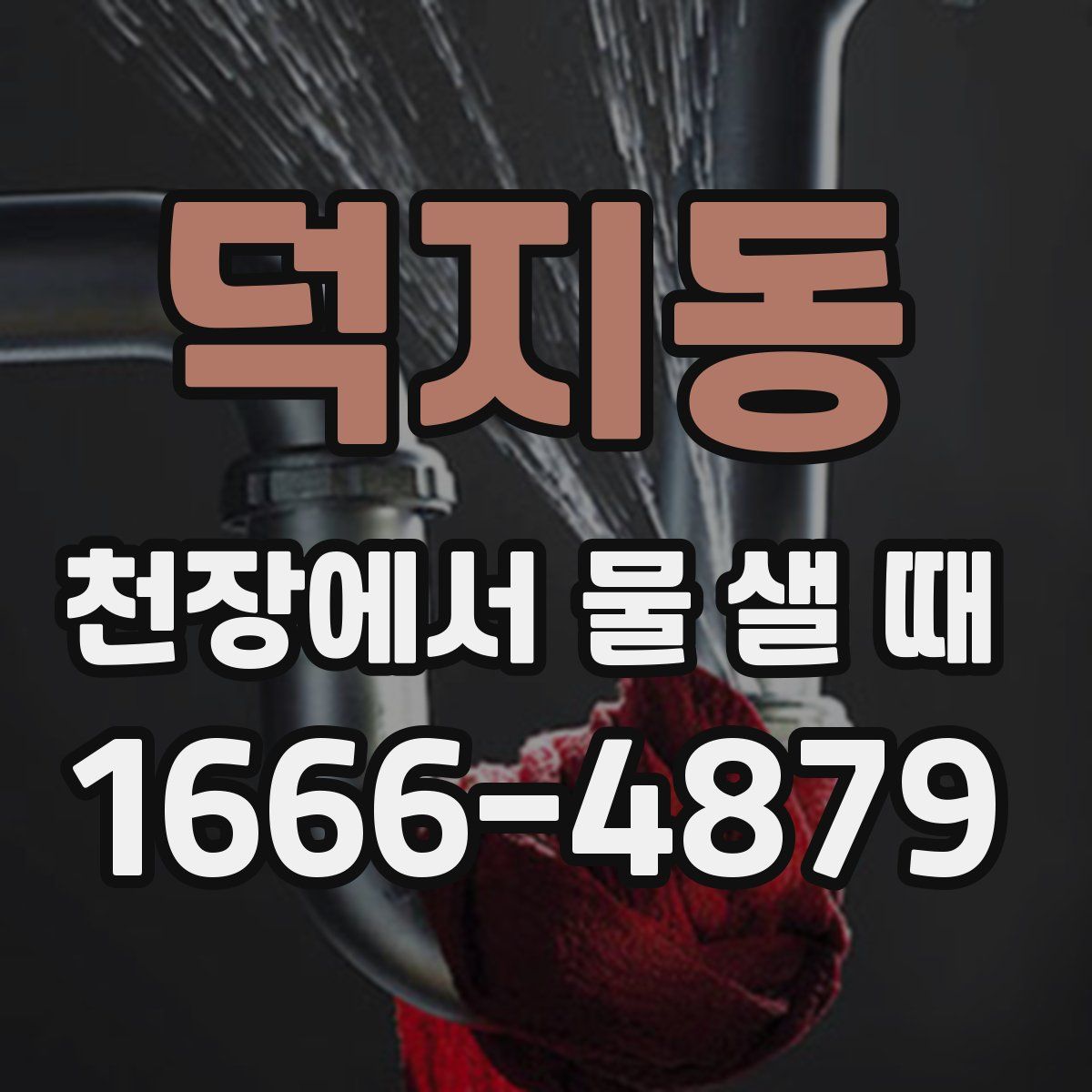 덕지동 천장에서 물 샐 때