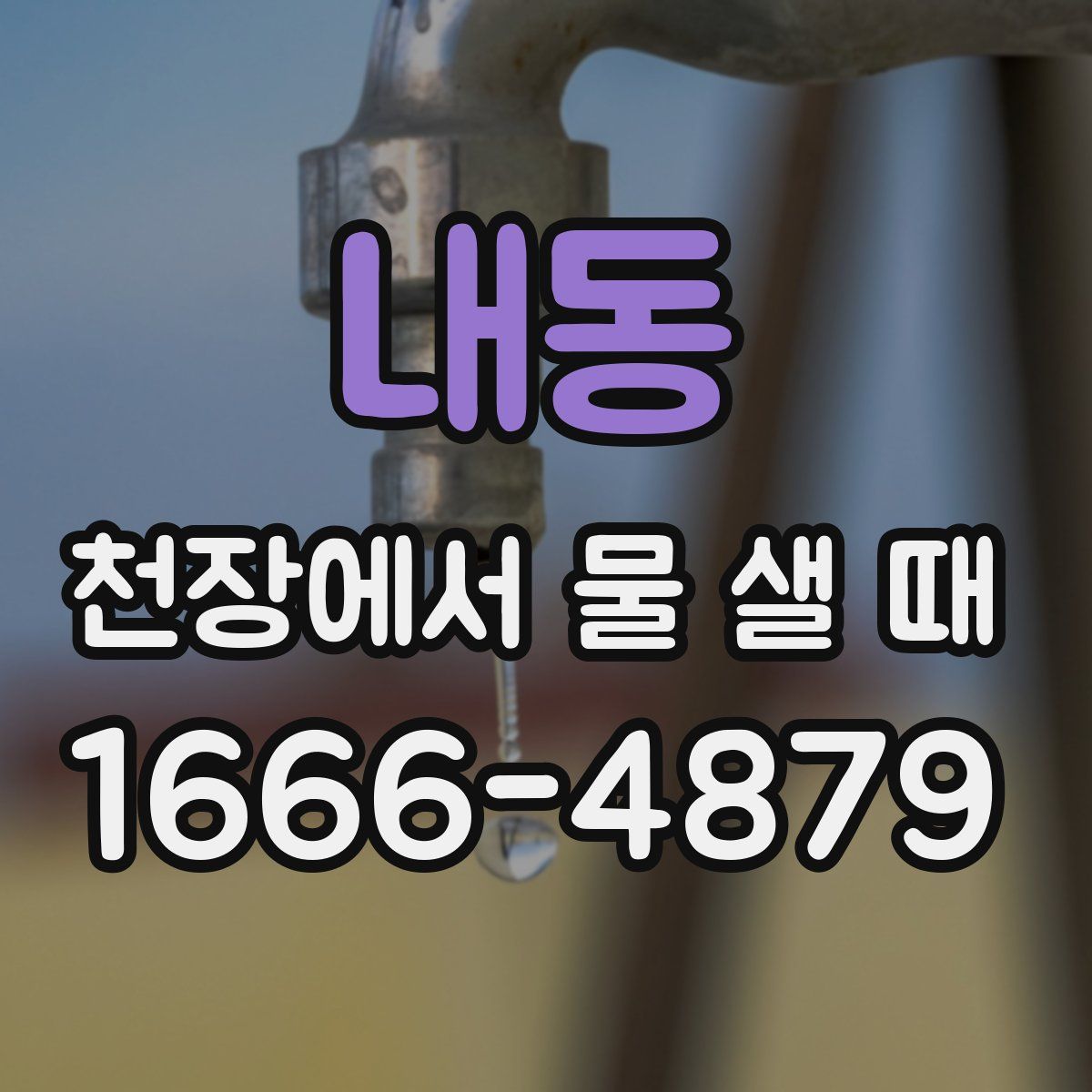 내동 천장에서 물 샐 때