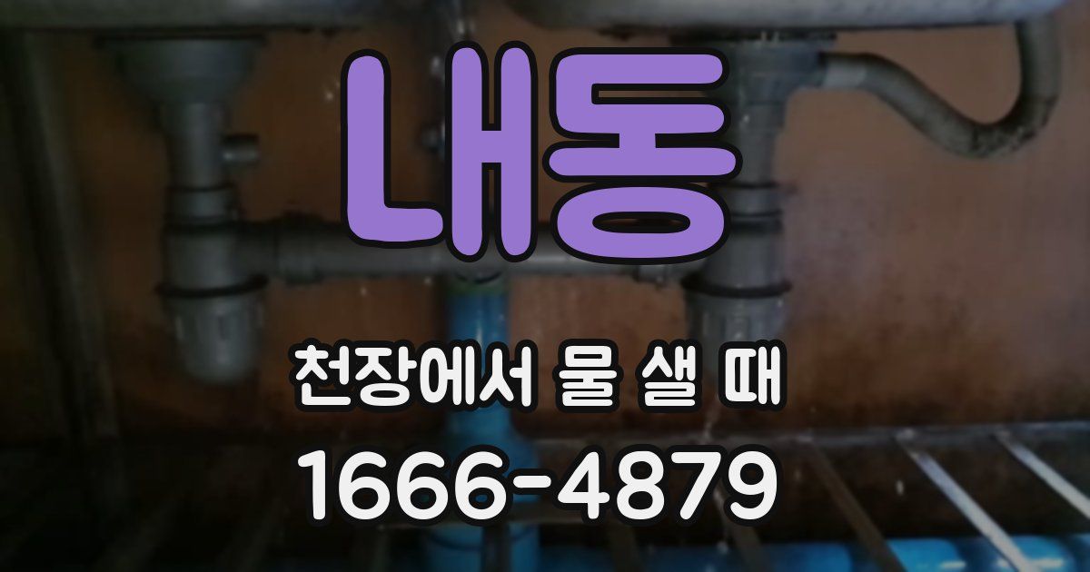 내동 천장에서 물 샐 때
