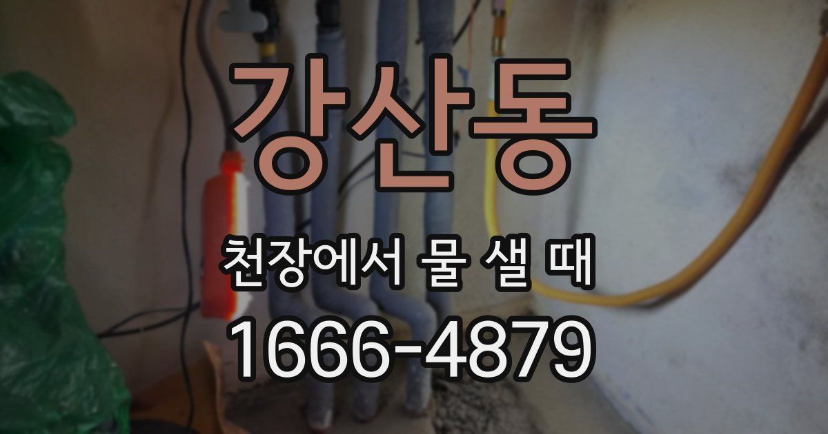 강산동 천장에서 물 샐 때