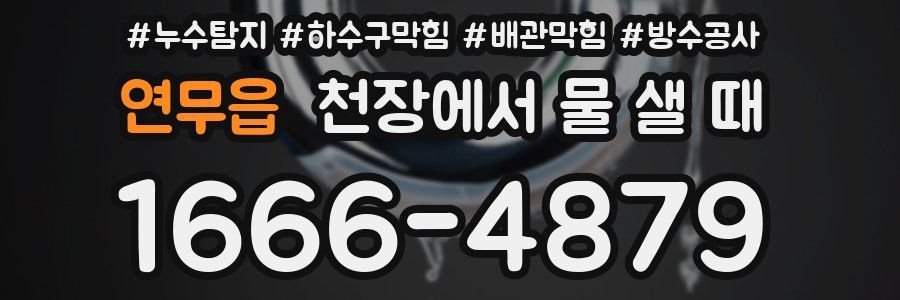 연무읍 천장에서 물 샐 때