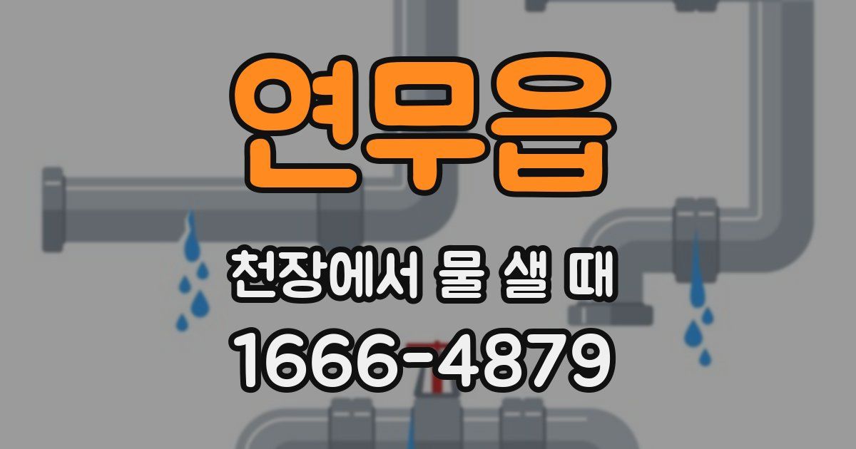 연무읍 천장에서 물 샐 때