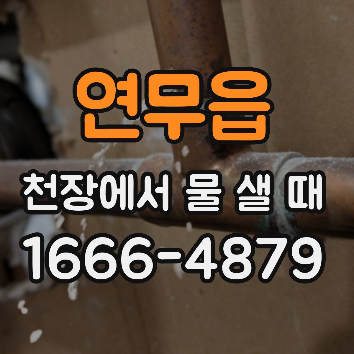 연무읍 천장에서 물 샐 때