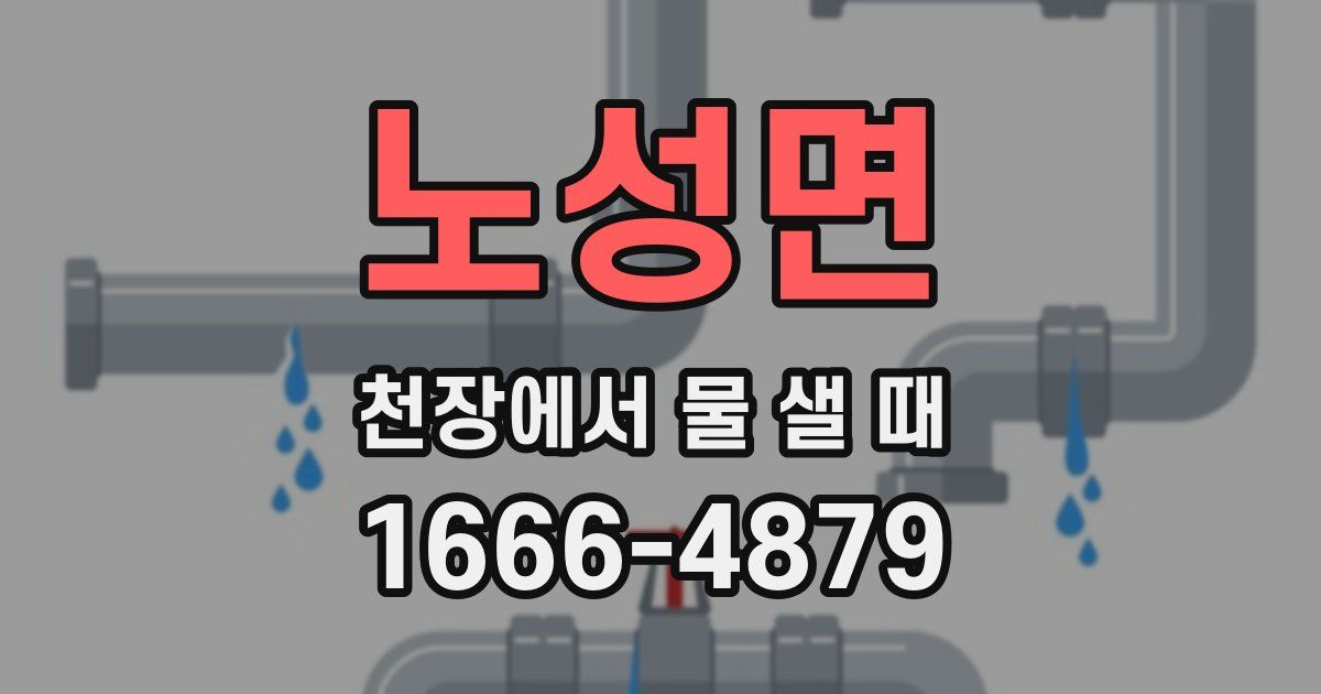 노성면 천장에서 물 샐 때