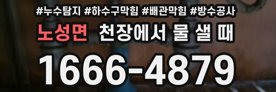 노성면 천장에서 물 샐 때