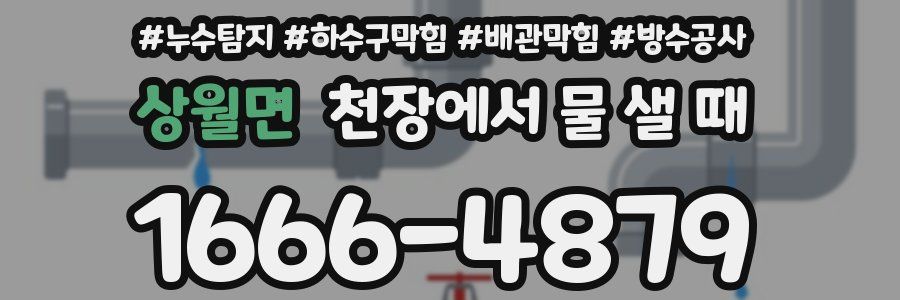 상월면 천장에서 물 샐 때