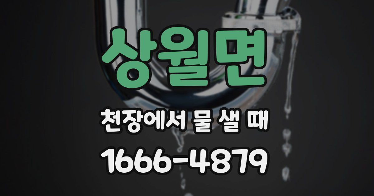 상월면 천장에서 물 샐 때
