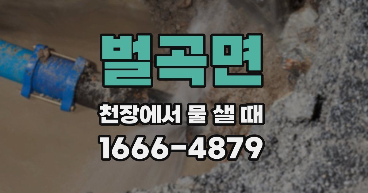 벌곡면 천장에서 물 샐 때