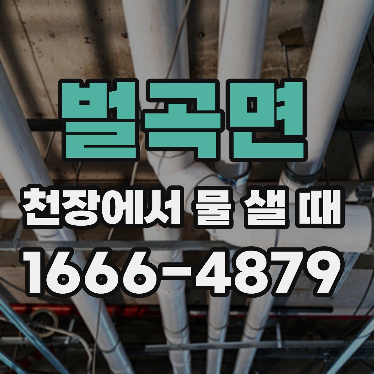 벌곡면 천장에서 물 샐 때
