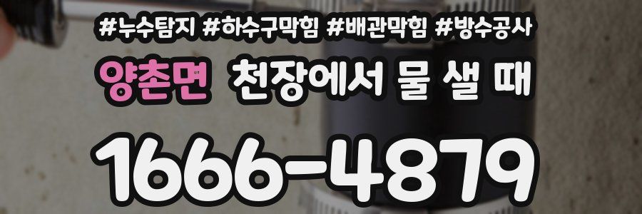 양촌면 천장에서 물 샐 때