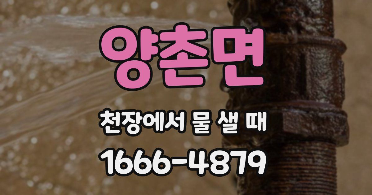 양촌면 천장에서 물 샐 때