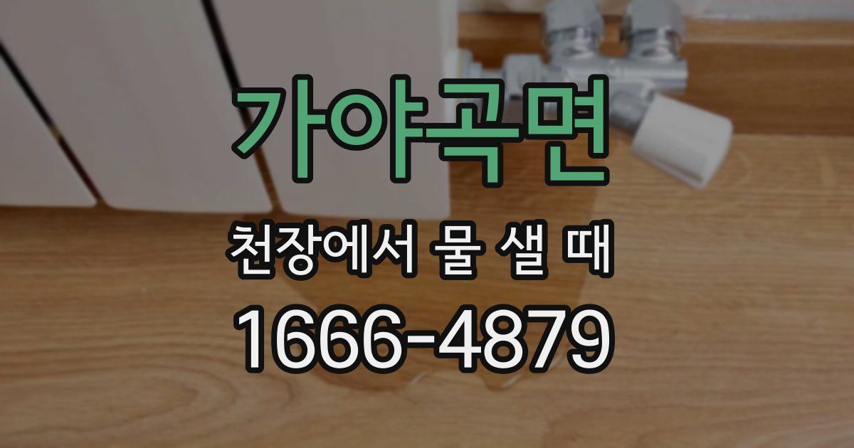 가야곡면 천장에서 물 샐 때