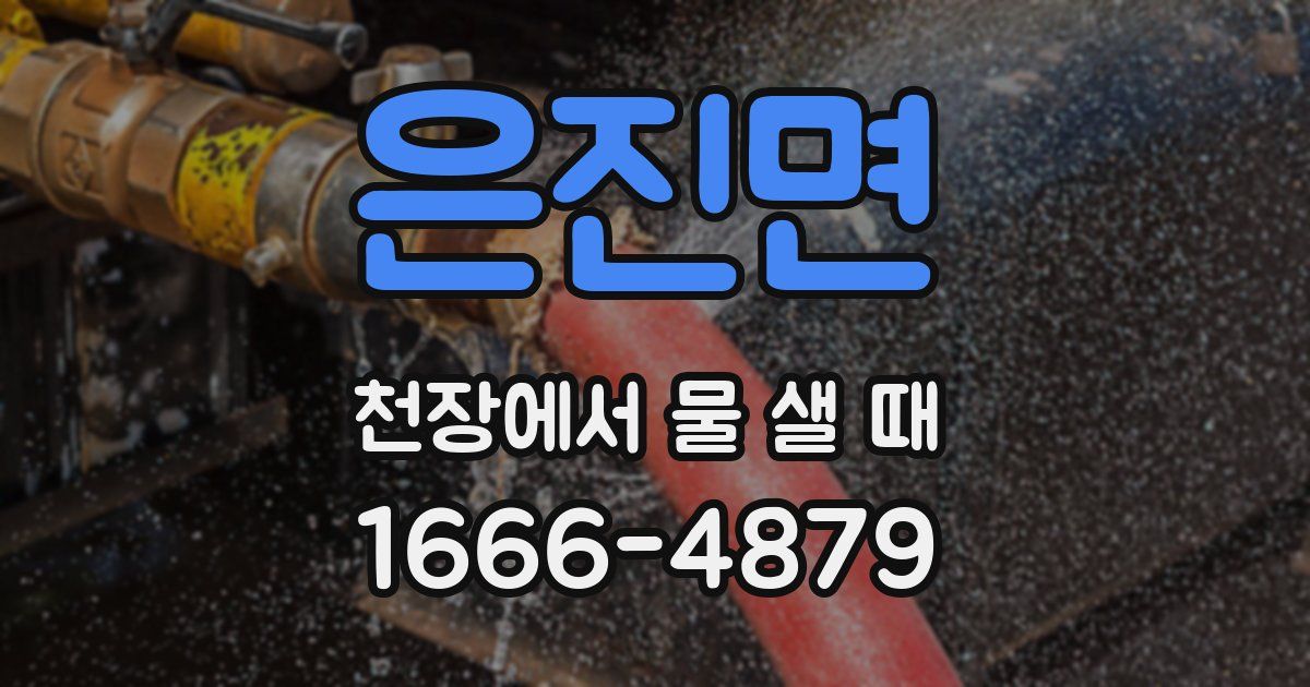 은진면 천장에서 물 샐 때