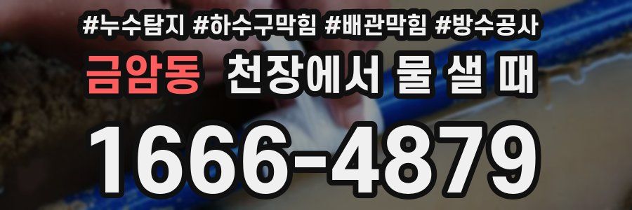 금암동 천장에서 물 샐 때