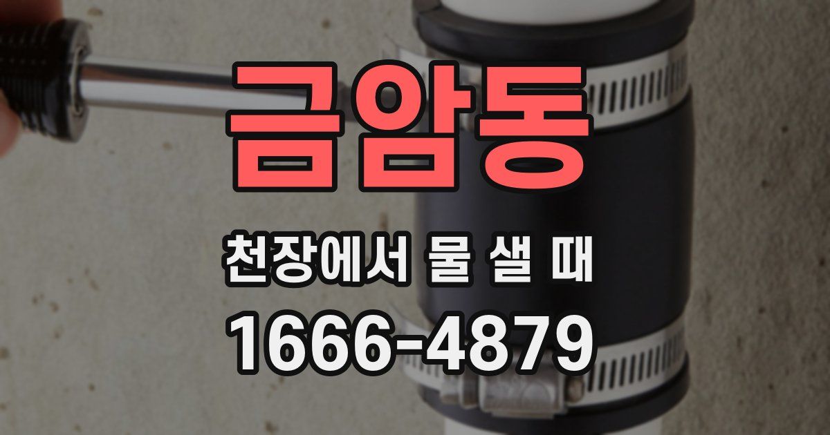 금암동 천장에서 물 샐 때