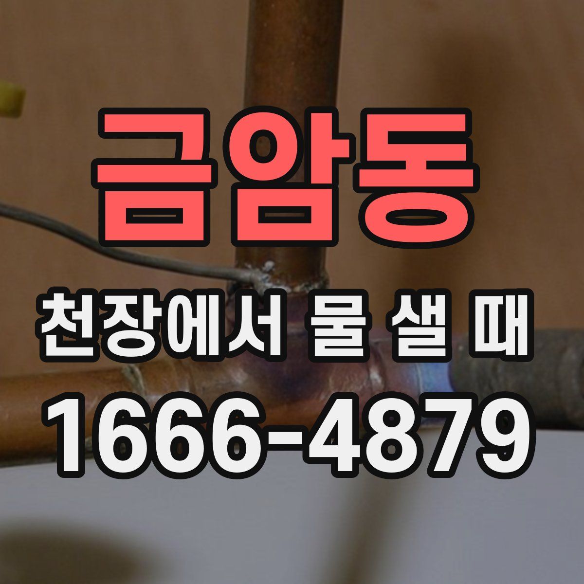 금암동 천장에서 물 샐 때