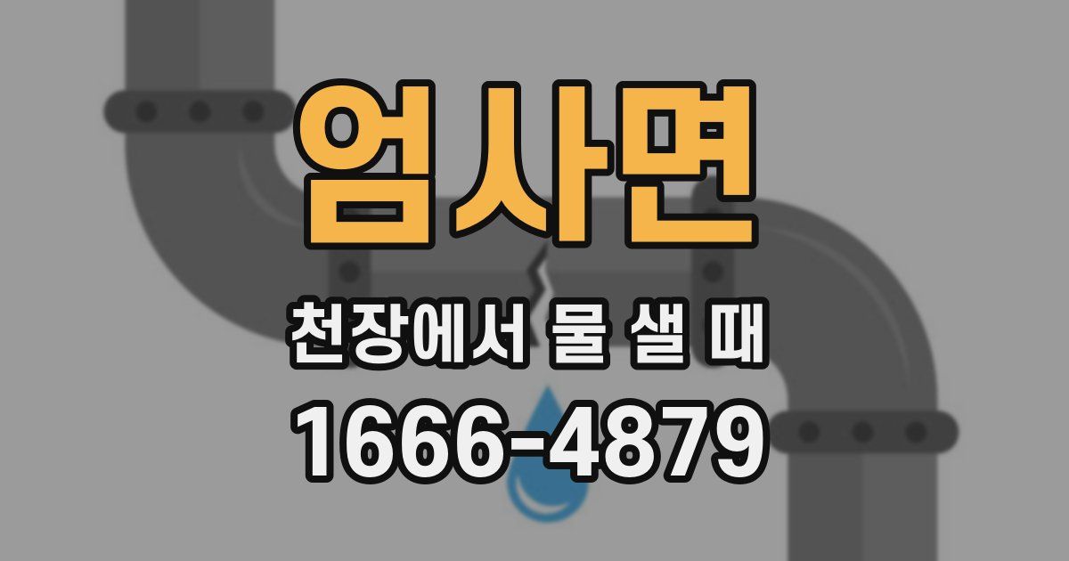 엄사면 천장에서 물 샐 때