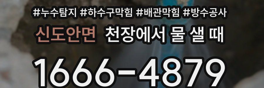 신도안면 천장에서 물 샐 때
