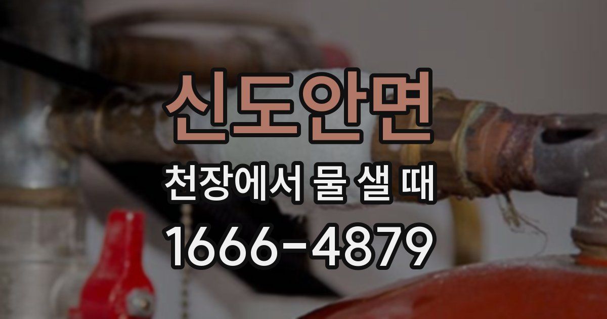 신도안면 천장에서 물 샐 때