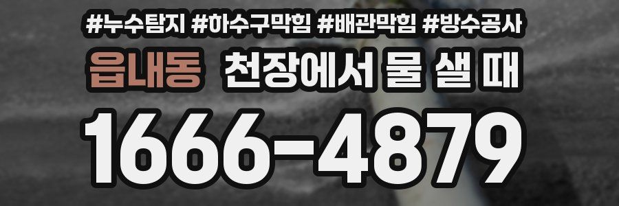읍내동 천장에서 물 샐 때