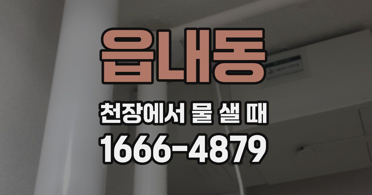 읍내동 천장에서 물 샐 때