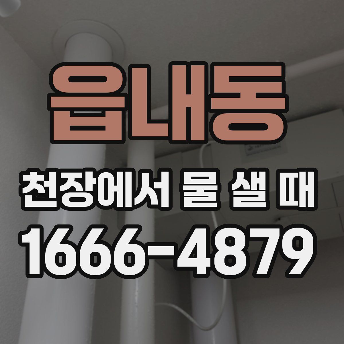 읍내동 천장에서 물 샐 때