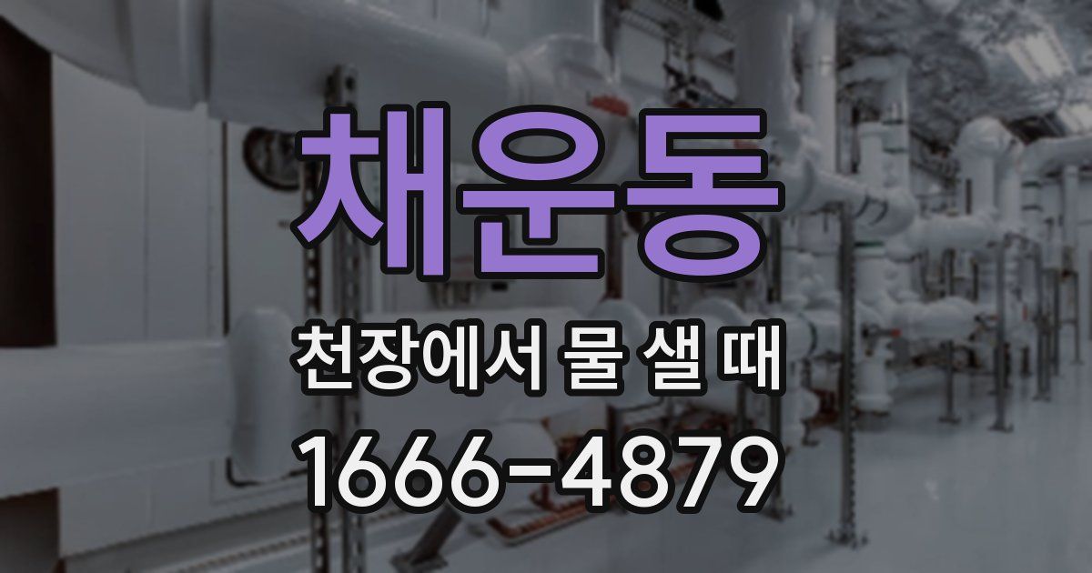 채운동 천장에서 물 샐 때