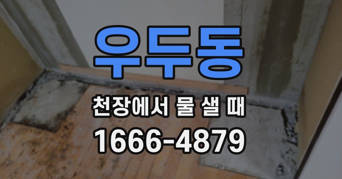 우두동 천장에서 물 샐 때