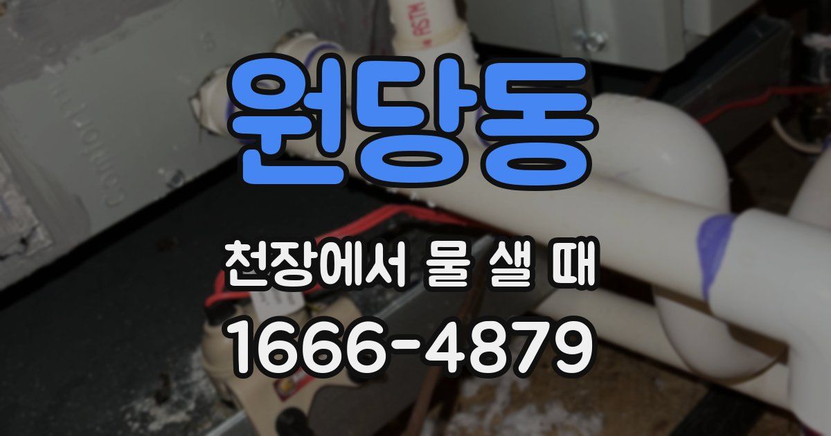 원당동 천장에서 물 샐 때