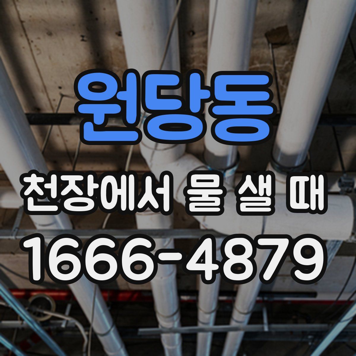 원당동 천장에서 물 샐 때