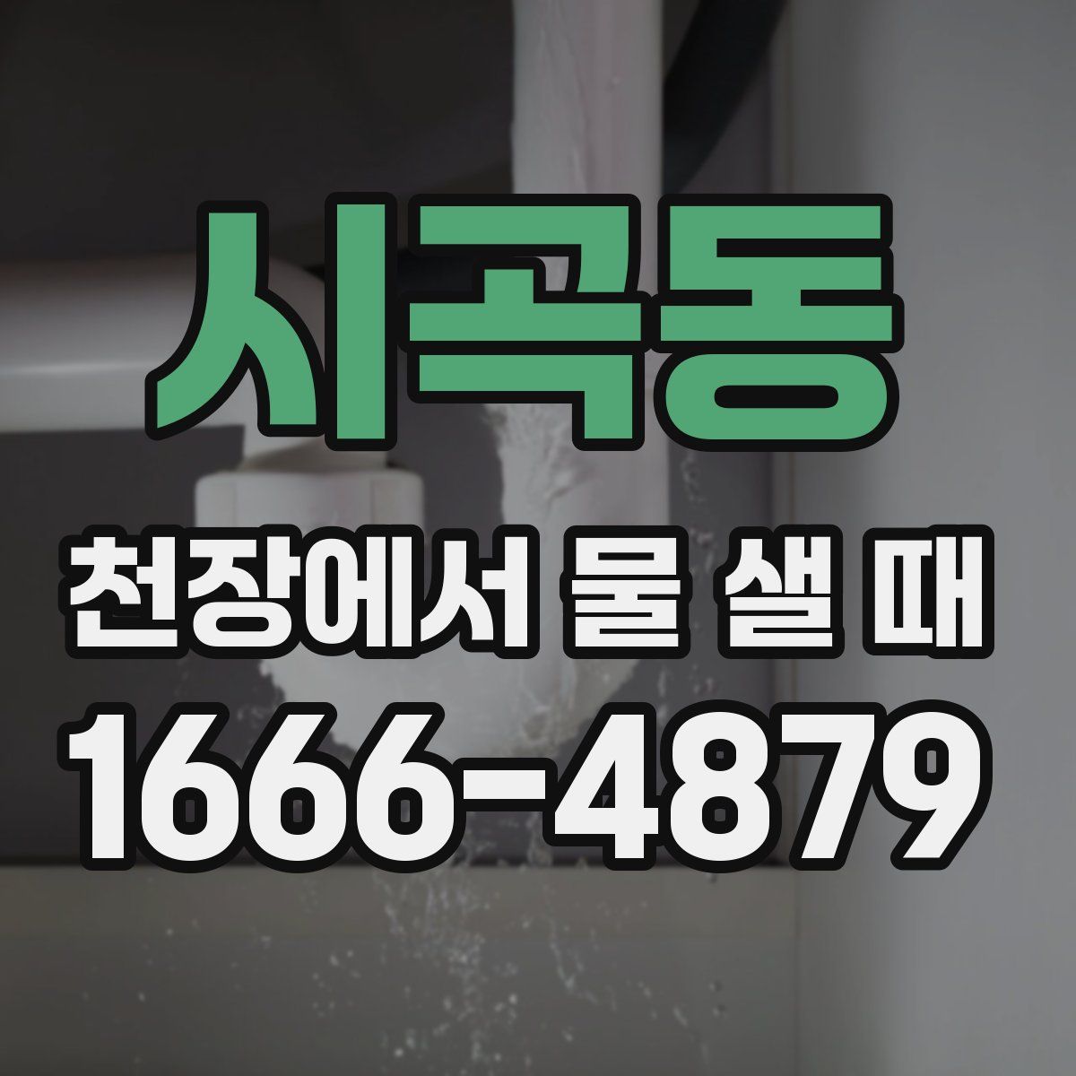 시곡동 천장에서 물 샐 때