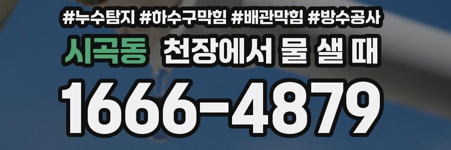 시곡동 천장에서 물 샐 때