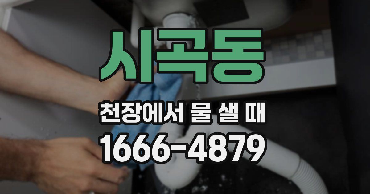 시곡동 천장에서 물 샐 때